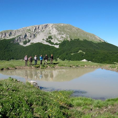 B&B Sole Del Pollino Ротонда Екстер'єр фото