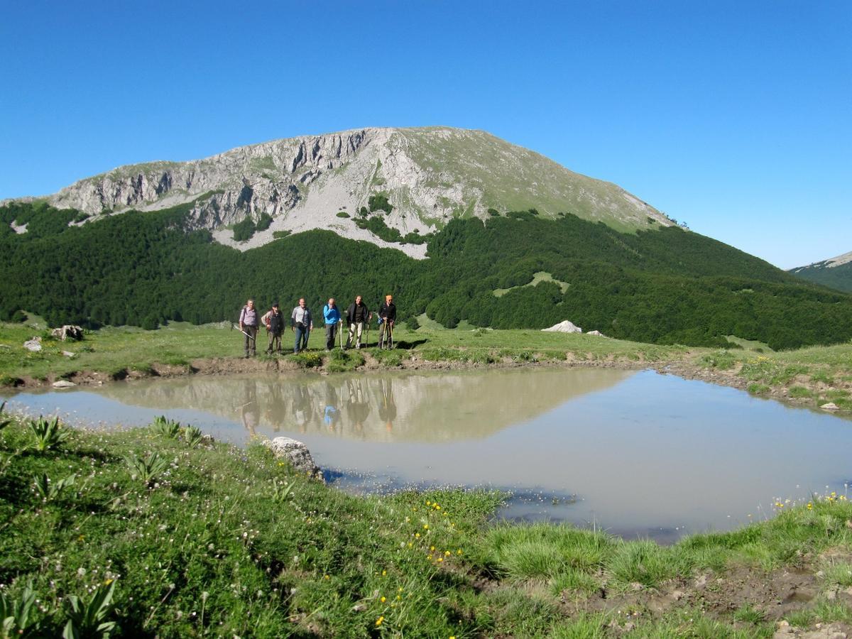 B&B Sole Del Pollino Ротонда Екстер'єр фото