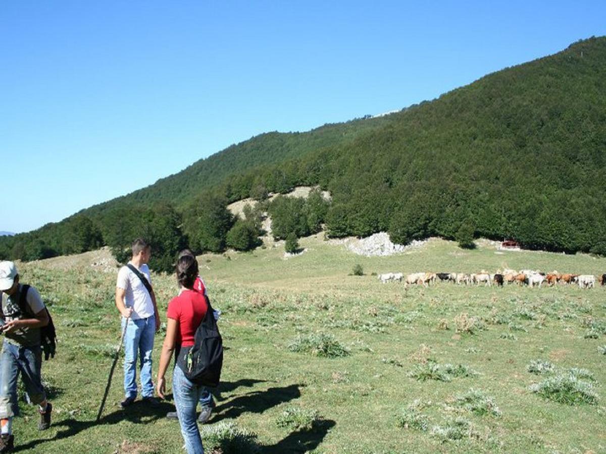 B&B Sole Del Pollino Ротонда Екстер'єр фото