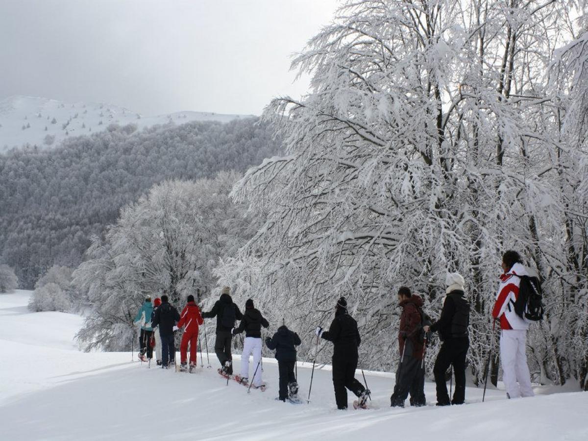 B&B Sole Del Pollino Ротонда Екстер'єр фото